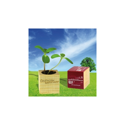 Blumen kubus (4 x 4 x 4 cm) - Topgiving